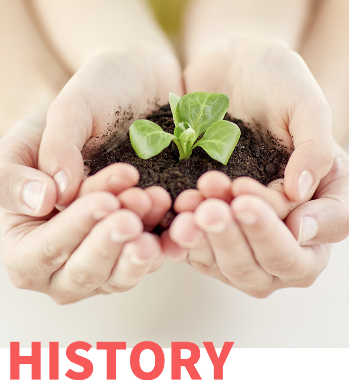 HISTORY HISTORY