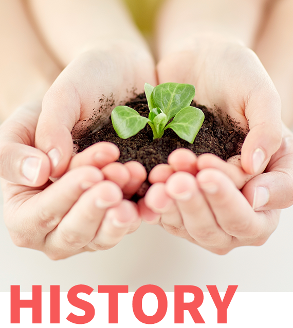 HISTORY HISTORY